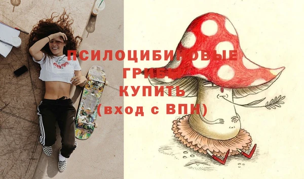 прущая мука Горно-Алтайск