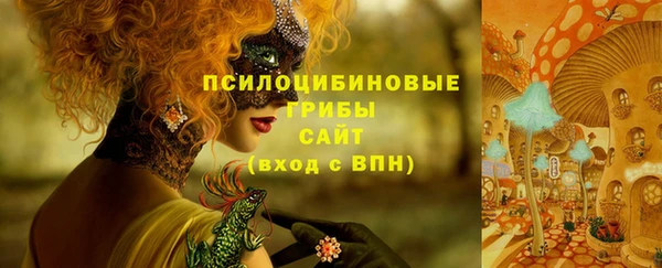 прущая мука Горно-Алтайск