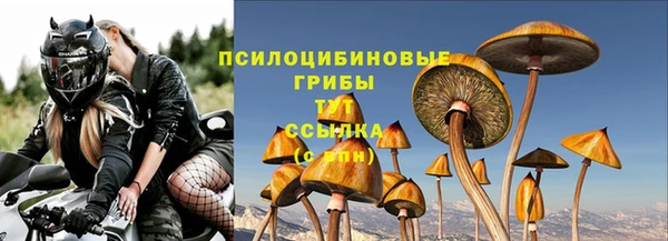 герыч Горняк